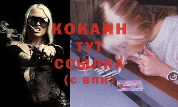 твердый Богородицк