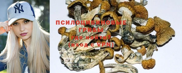 твердый Богородицк