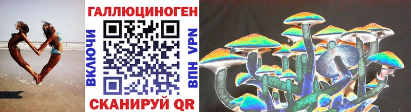 купить   Волжский  Галлюциногенные грибы Magic Shrooms 